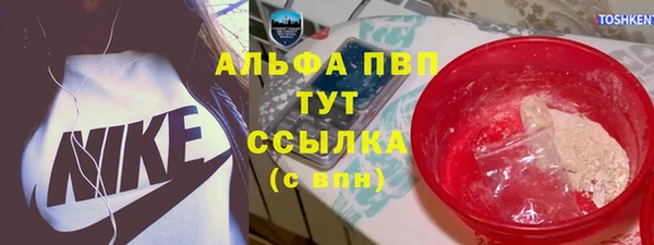 амф Верхний Тагил